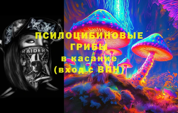 mix Осинники