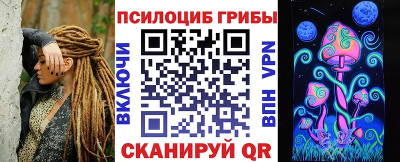 купить наркотики цена  Тайга  Галлюциногенные грибы GOLDEN TEACHER 